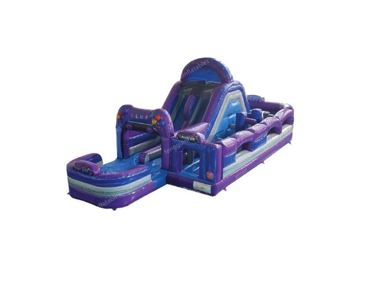 Purple Marble Inflatable Obstacle Course